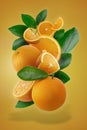 Fresh Sliced Ã¢â¬â¹Ã¢â¬â¹oranges and Orange fruit isolated on Orange background Royalty Free Stock Photo